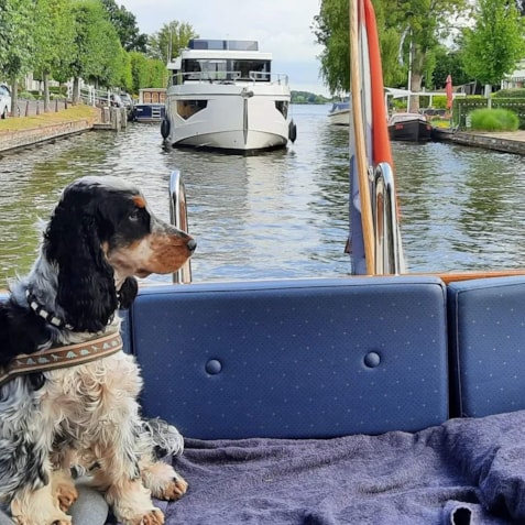 0BBD0E44-5850-426F-B2FB-C9F76065A760