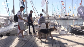 Schermafbeelding 2022-09-01 om 23.04.36