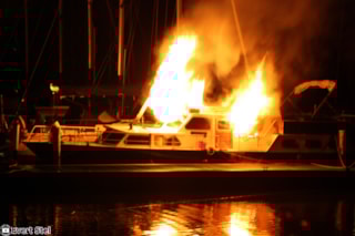 29-09-2022 Brand Vega (1)