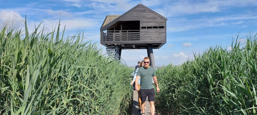 3885A15D-C770-4E87-BEDA-750A0CF58AED