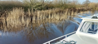 thumbnail_20230210_113859