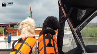 Schermafbeelding 2022-06-19 om 16.00.38