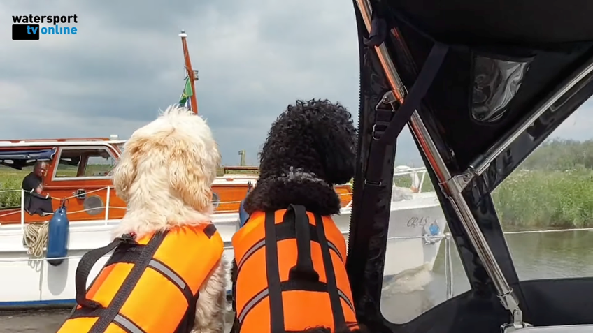 Schermafbeelding 2022-06-19 om 16.00.38