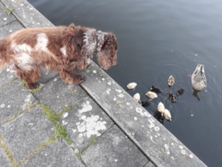 thumbnail_20180514_210111