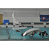 Kick-off jeugdzeillessen met indoor zwembadtraining  