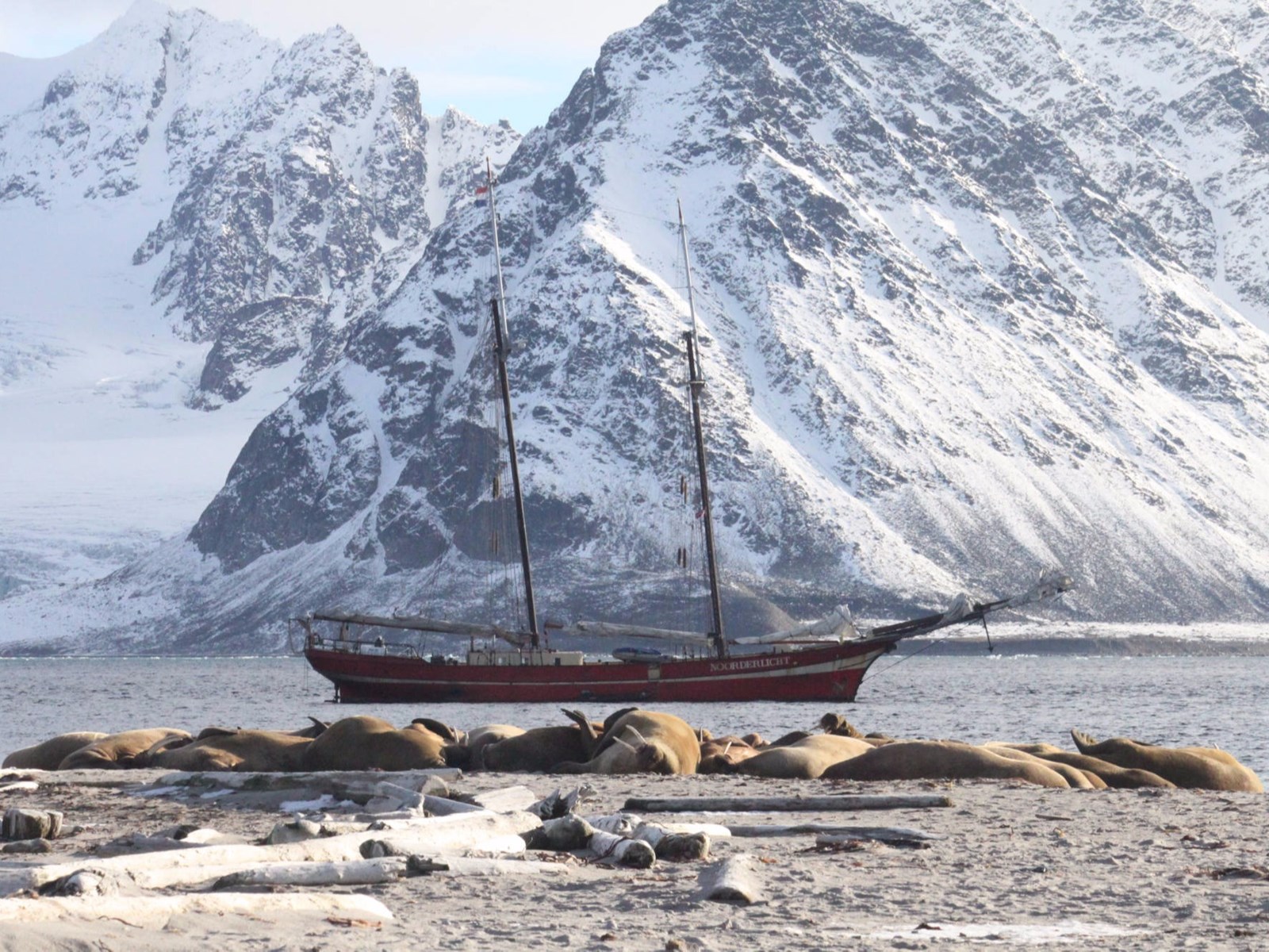 Zeilschip Noorderlicht loopt aan grond in Noors fjord