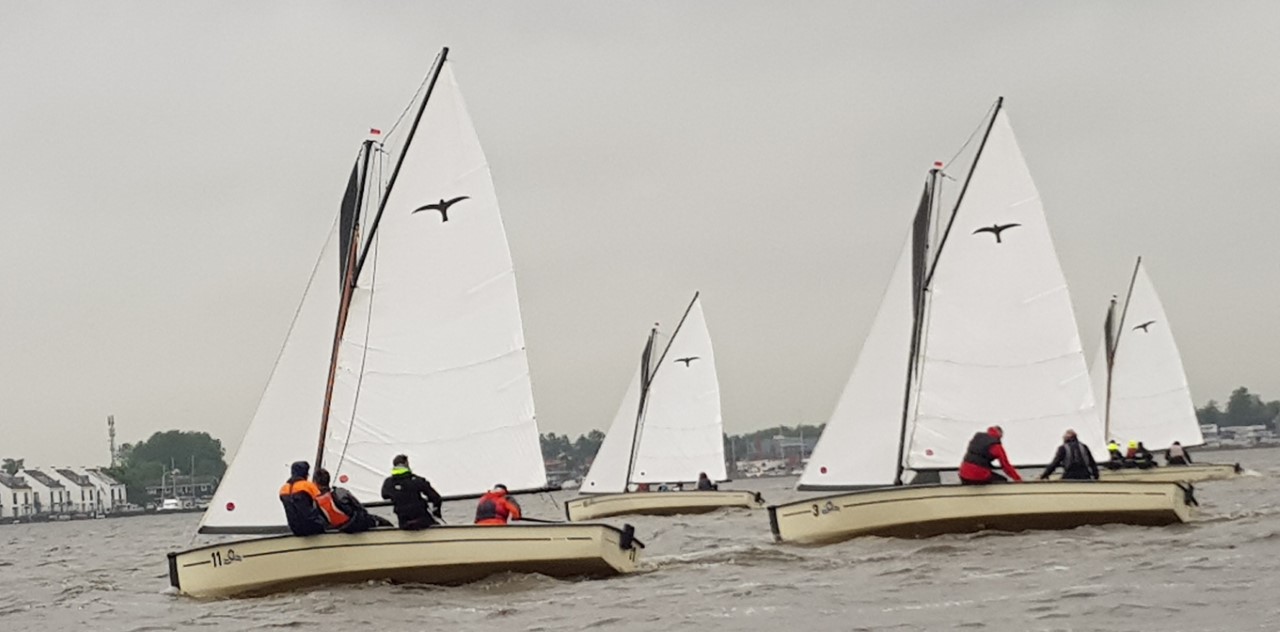 Record aantal deelnemers Bedrijvenregatta SailWise