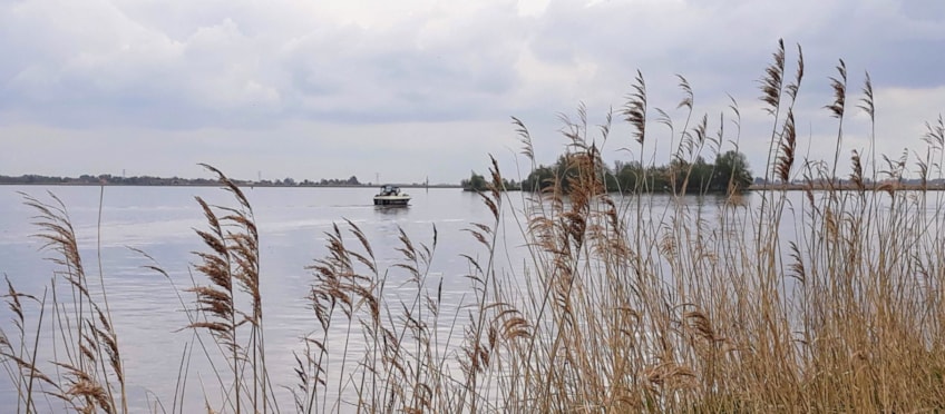 thumbnail_20190428_160201~2