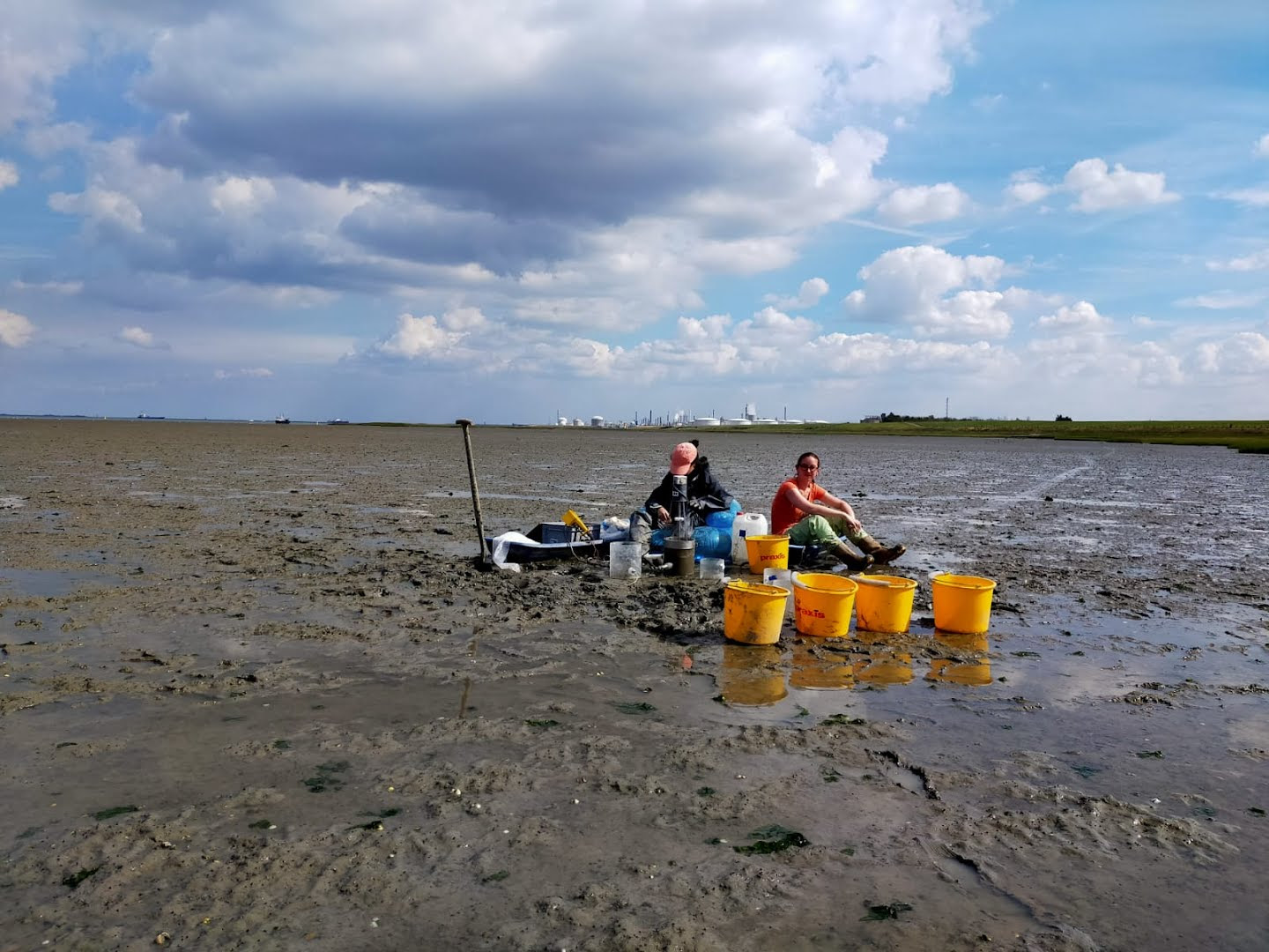 Stormen maken voedingsstoffen vrij uit bodem Ooster- en Westerschelde