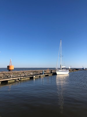31 Maart 2020 alleen in de haven van Uitdam na het allereerste solo tochtje