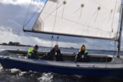Afbeelding 482