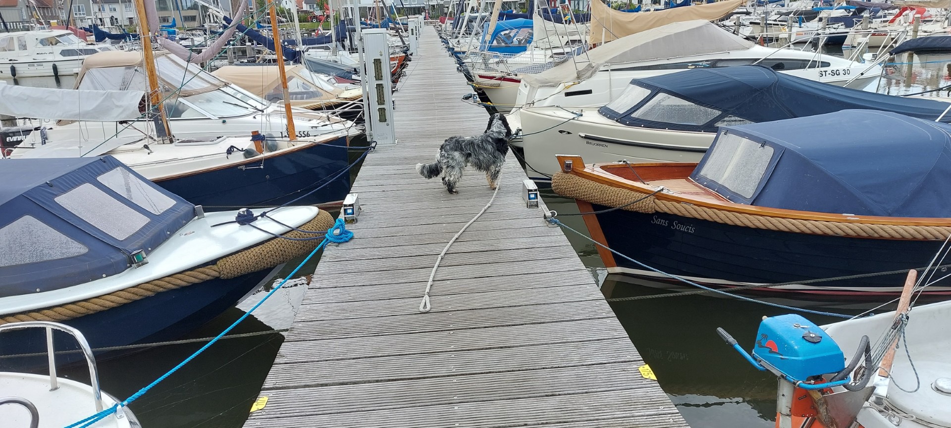 Onvoldoende kennis over eisen pleziervaartuigen bij fabrikanten en distributeurs