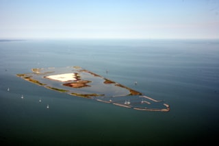 VOGELEILAND De Kreupel Andijk IMG_8501