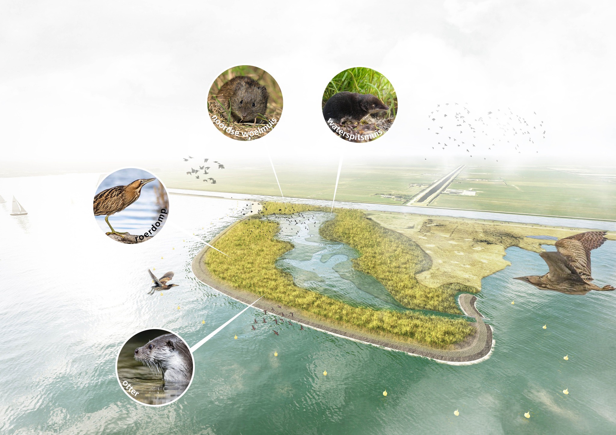 Werkzaamheden voor 'nieuwe natuur' Alkmaardermeer van start