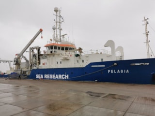 foto2Pelagiashiplores