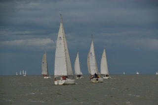 d091e36d-f67f-e736-0984-be1e15b9fc9b