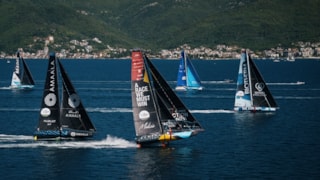 m197025_crop999003_800x450_17583873188C12