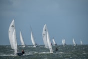 Afbeelding 28