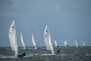 Afbeelding 28