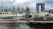 Afbeelding 13