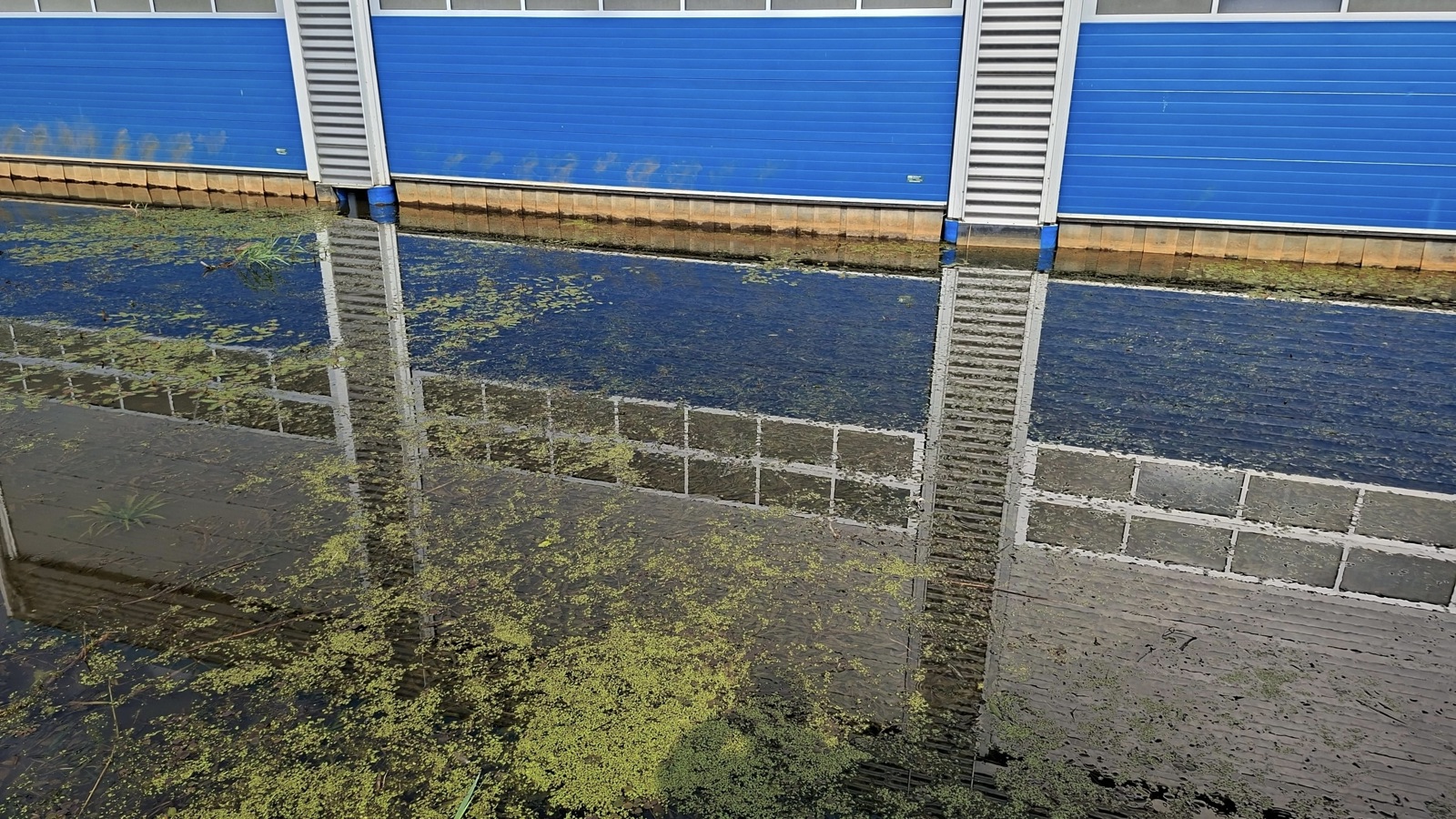 Waterplanten campagne start op 15 juni