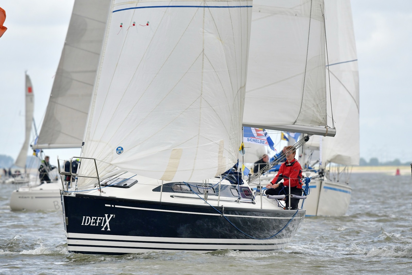 Schelderegatta in teken van Tall Ships Races in Antwerpen