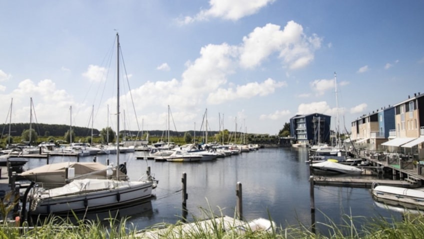 Afbeelding 25