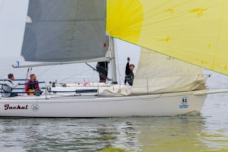 Afbeelding 6