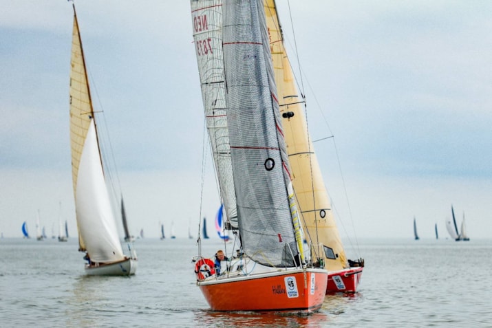 Afbeelding 2