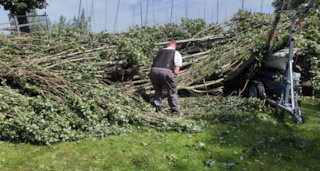 Scherm­afbeelding 2026-06-20 om 22.20.15
