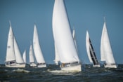 Afbeelding 6