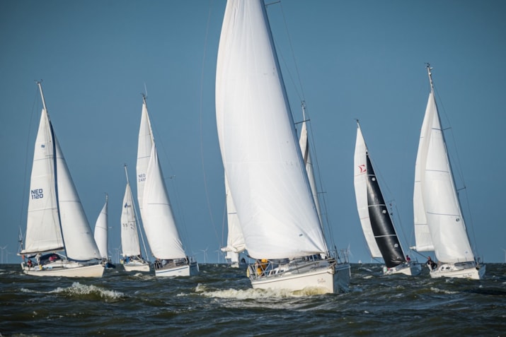Afbeelding 6