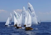 Afbeelding 167
