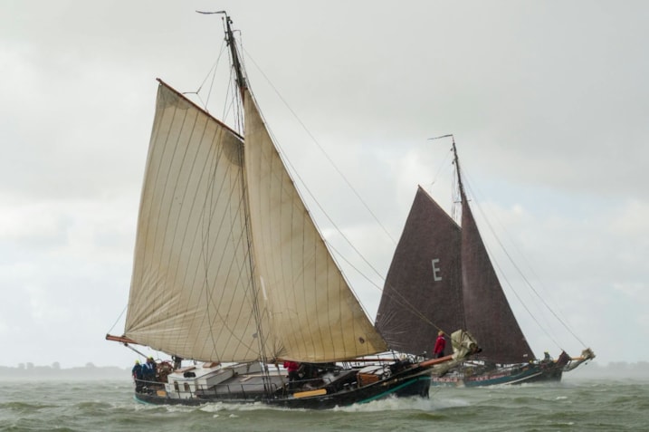 Afbeelding 2