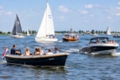 Afbeelding 12