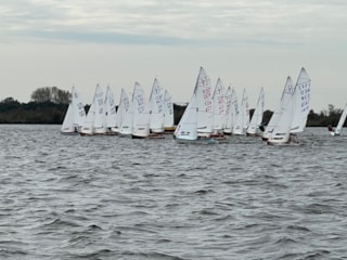 Afbeelding 16