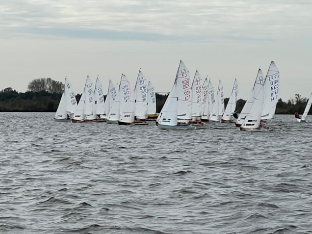 Afbeelding 16
