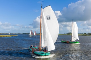 Afbeelding 12