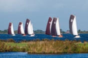 Afbeelding 14