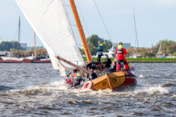 Afbeelding 16