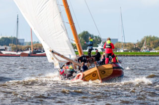 Afbeelding 16