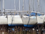 Afbeelding 8