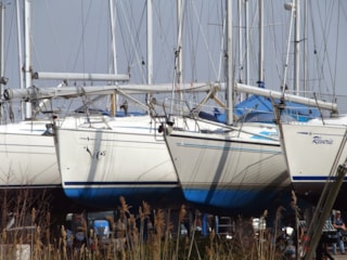Afbeelding 8